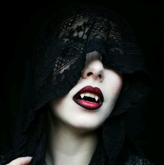 Meet your Posher, Rosa - Picture 1 of 1